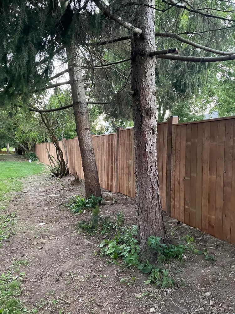 New fence run installed behind the tree line