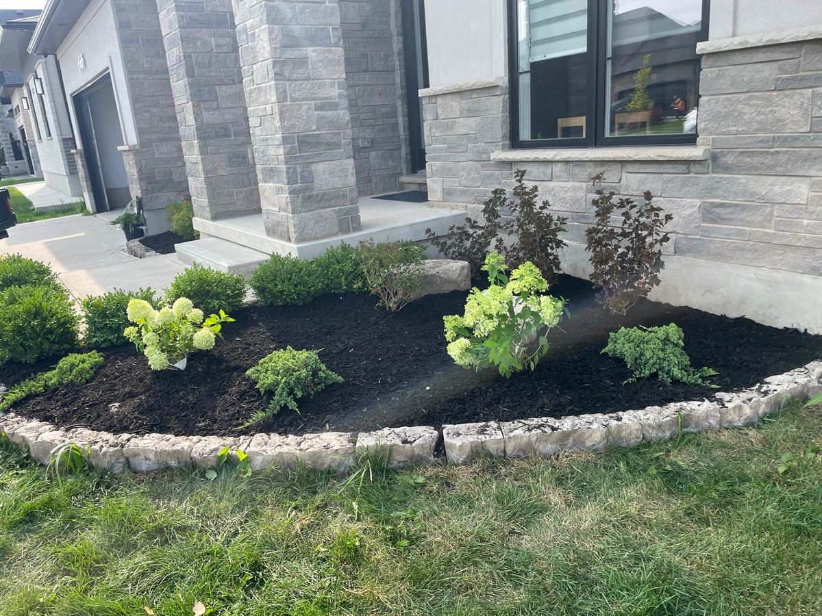 Refreshed armour stone corner bed with black mulch and plantings