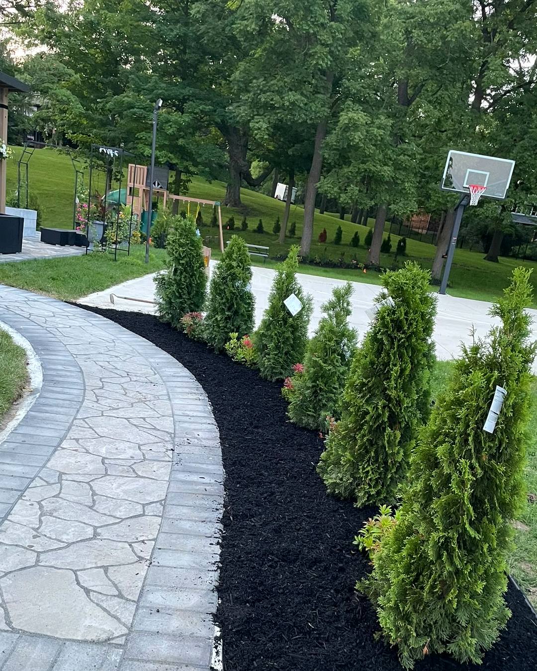 Curved flagstone walkway with fresh mulch bed and cedars at a London home